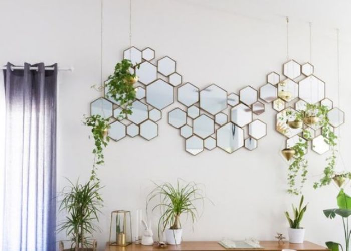 How do you set up and maintain a plant wall decor?